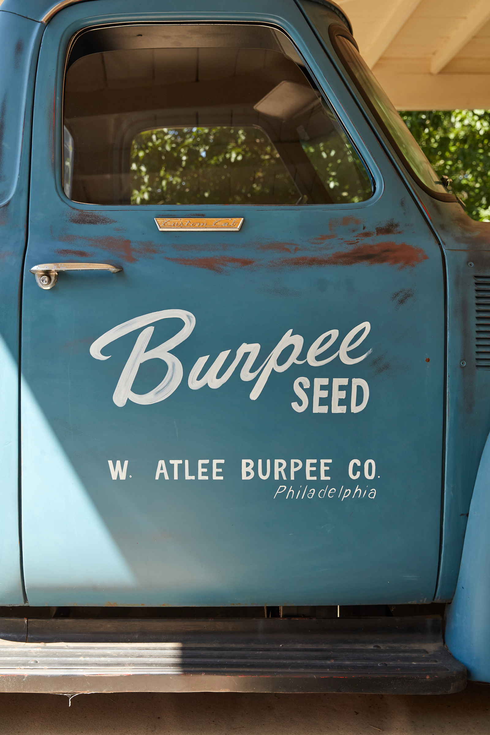 BURPEE010